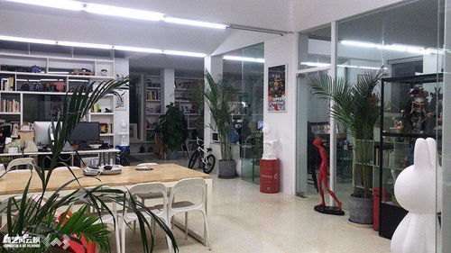 对话刘发禄与阿路 从造星工厂到品牌世界观——探索中国IP管理机制与后勤服务的全球机遇